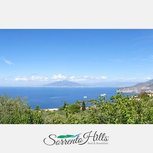 Sorrento Hills